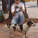 Foto de perfil de Raul Ramos