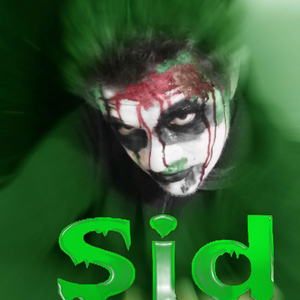 Foto de perfil de Sid