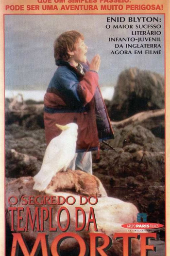 Poster de Filme O Segredo do Templo da Morte (1996)