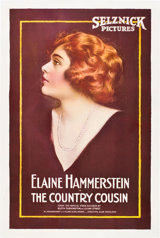 Poster 1 de Filme The Country Cousin (1919)