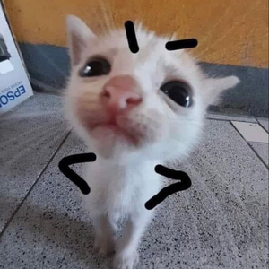 Foto de perfil de aninha :p