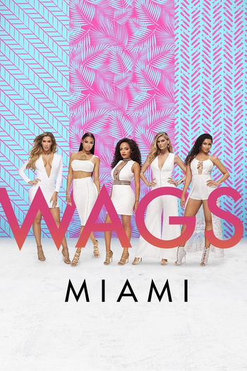 Poster de Franquia WAGS Miami (2016)