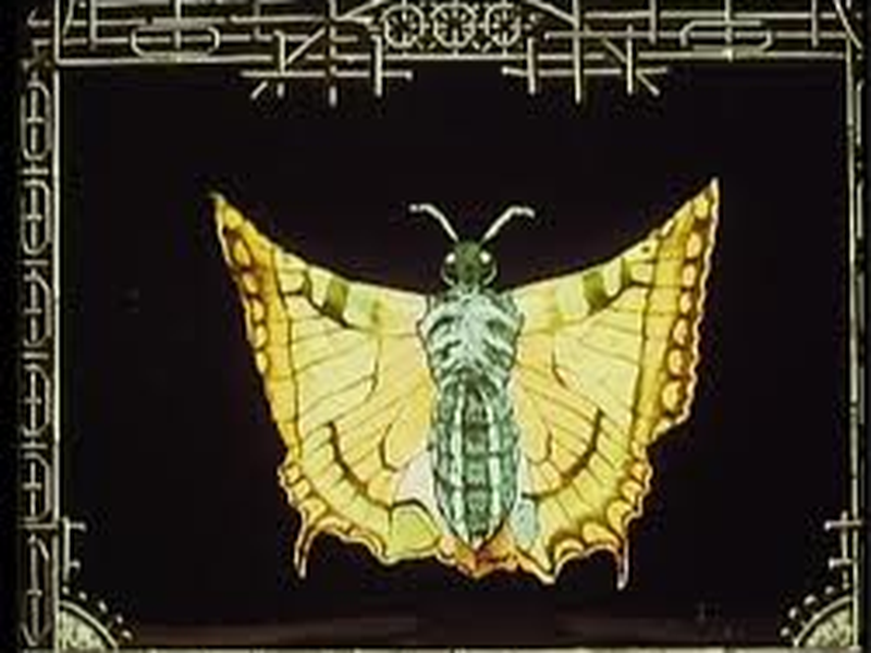 Foto 2 de As Borboletas Japonesas