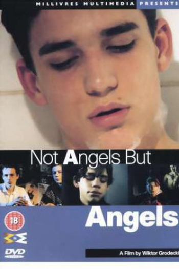 Poster de Filme Not Angels But Angels (1994)