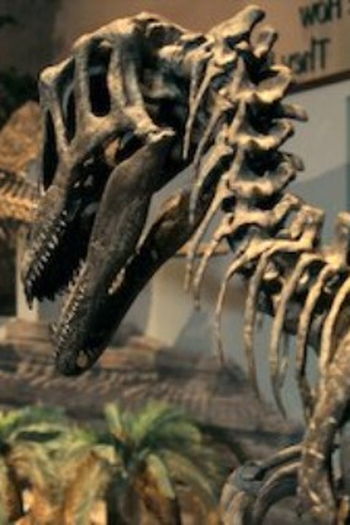 Poster de Episódio A grande extinção (2020)
