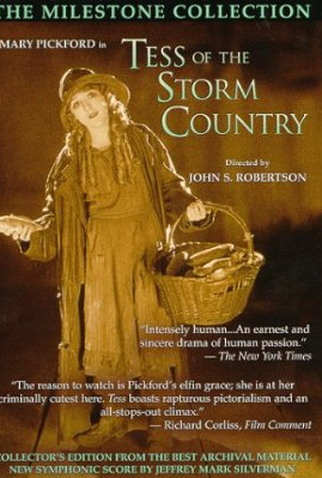 Poster 1 de Filme O País das Tormentas (1922)