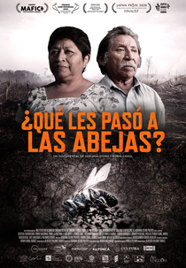 O que Aconteceu com as Abelhas? (¿Qué Les Pasó a Las Abejas?)
