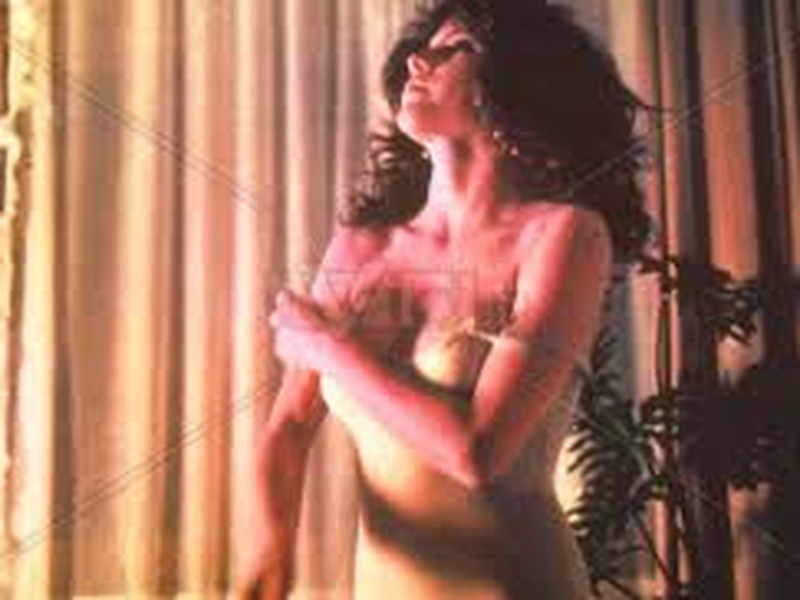 Foto 14 de A Cigarra