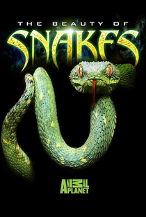 Documentario Animal - O Mundo das Cobras - Poster / Capa / Cartaz - Oficial 1