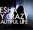 Ke$ha: My crazy beautiful life (2° temporada)