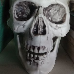 Foto de perfil de Punk