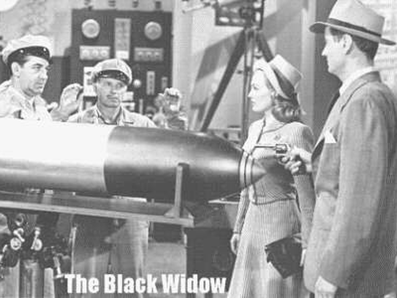 Foto 6 de O Falcão Negro