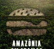 Amazônia Em Chamas