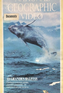 National Geographic Vídeo - As Grandes Baleias - Poster / Capa / Cartaz - Oficial 1