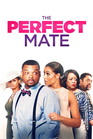 Poster 1 de Filme The Perfect Mate (2020)