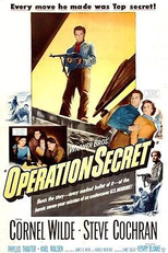Um Segredo em Cada Sombra (Operation Secret)