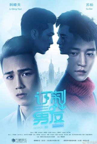 Poster 1 de Filme Customized Companion (2017)