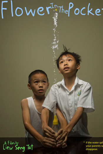 Poster de Filme Pequenas Flores (2007)