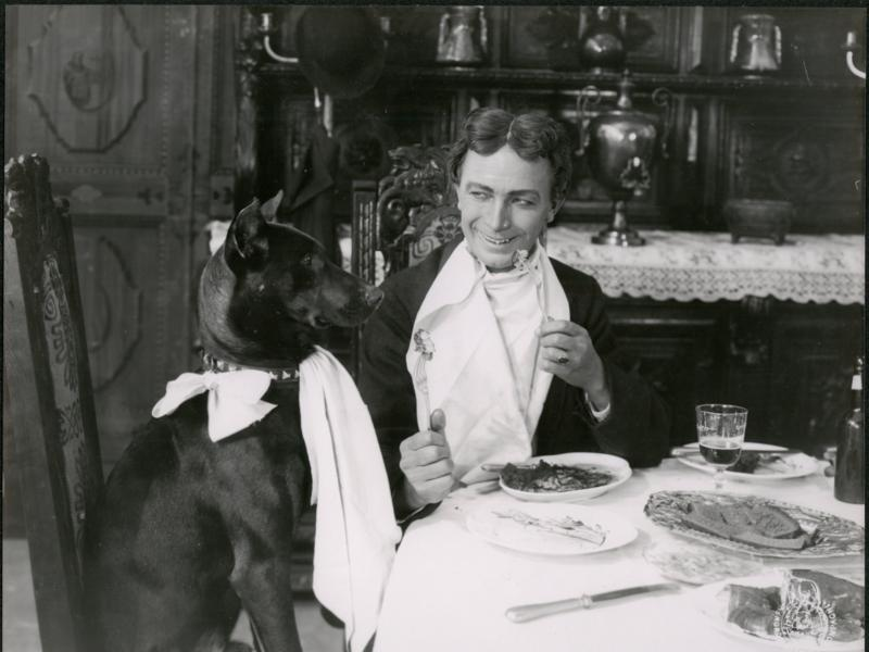 Foto 6 de Four-legged Sherlock Holmes