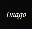 Imago