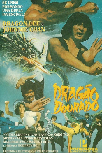 Poster de Filme O Dragão Dourado e a Serpente de Prata (1979)