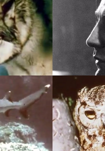 Say Goodbye (Say Goodbye)