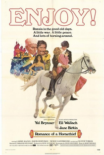 Romance de um Ladrão de Cavalo - Poster / Capa / Cartaz - Oficial 1