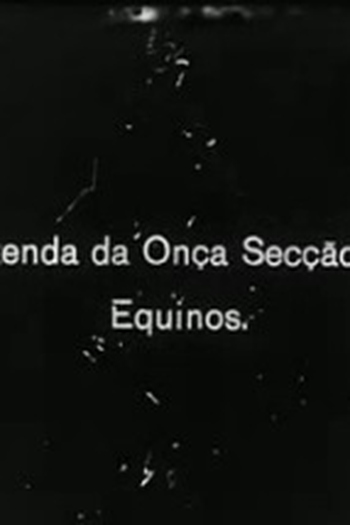 Poster de Curta Fazenda da Onça (1920)