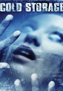 Armazenagem a Frio (Cold Storage)