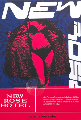 Poster 8 de Filme Enigma do Poder (1998)