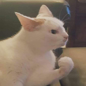 Foto de perfil de Valéria