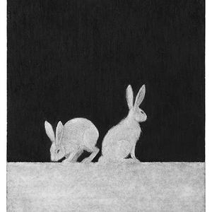 Foto de perfil de Dulce Prado