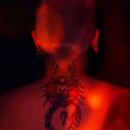 Foto de perfil de Corderi