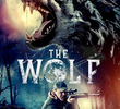 The Wolf