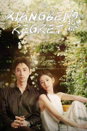 Poster de Franquia 向北的遗憾 (2024)