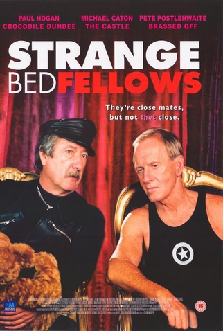 Poster 3 de Filme Estranha Amizade (2004)