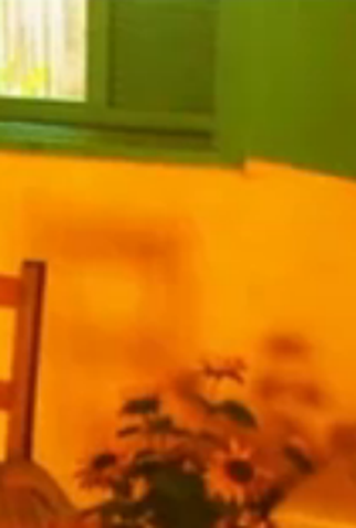 Poster 1 de Curta Vincent vida e simplicidade (2008)