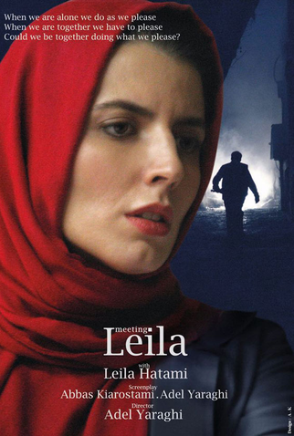 Poster 1 de Filme Encontrando Leila (2011)