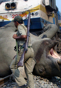O Planeta Terra é Você (El Planeta Tierra Eres Tú)