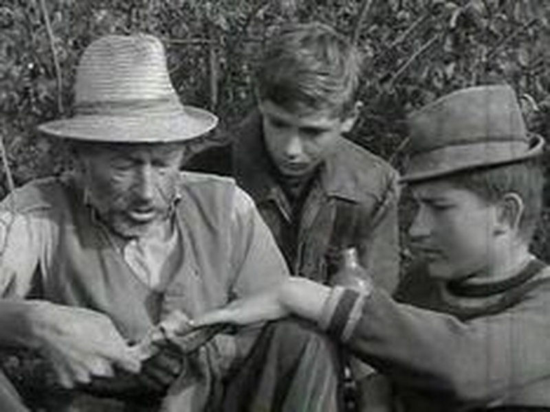 Foto 11 de Tüskevár