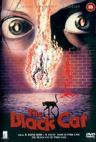 Poster 7 de Filme Gato Negro (1981)