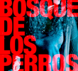A Floresta dos Cães