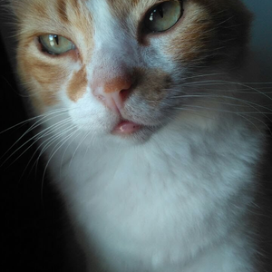 Foto de perfil de Beatriz
