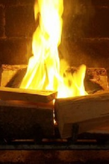 Crackling Yule Log Fireplace (Crackling Yule Log Fireplace)