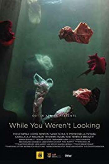 Poster de Filme While You Weren't Looking (2015)