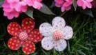 Mais Flores