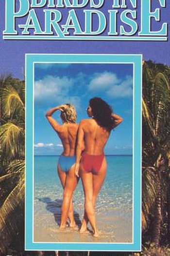 Poster de Filme Desinibidas do Paraíso (1984)