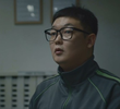 태양의 날