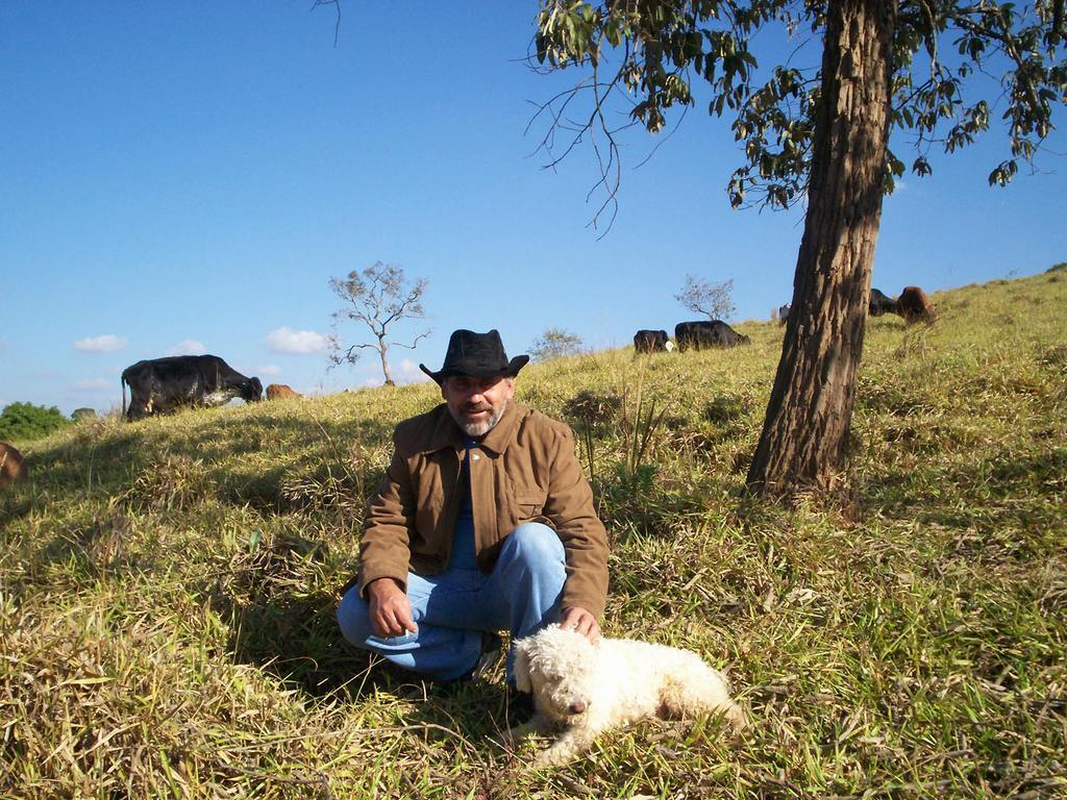 Nísio Fernandes - Foto 1