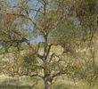 Spring Equinox